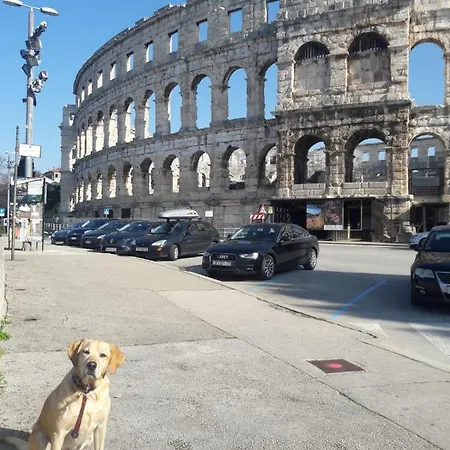 Luka Apartamento *
